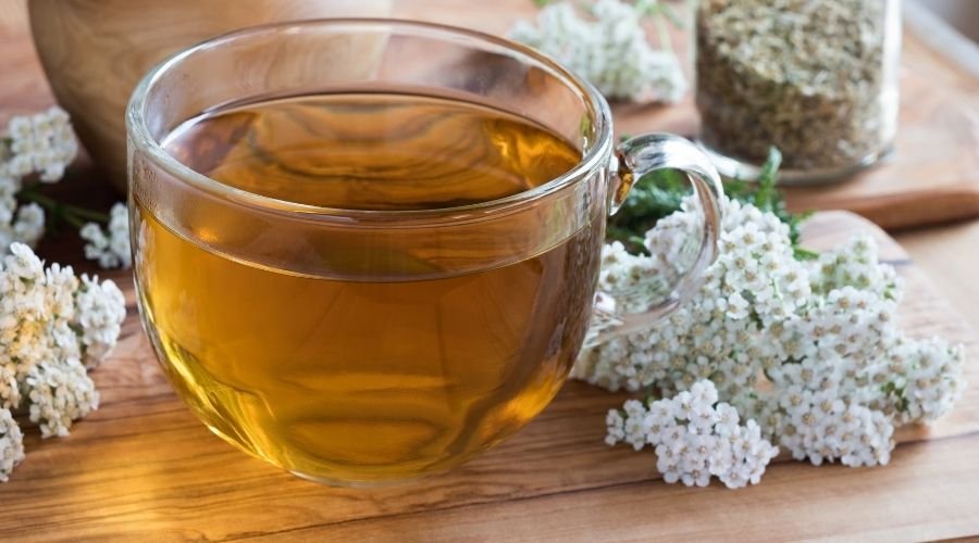 Ceai de Coada Soricelului - Remediu Excelent Pentru Digestie si Inflamatie